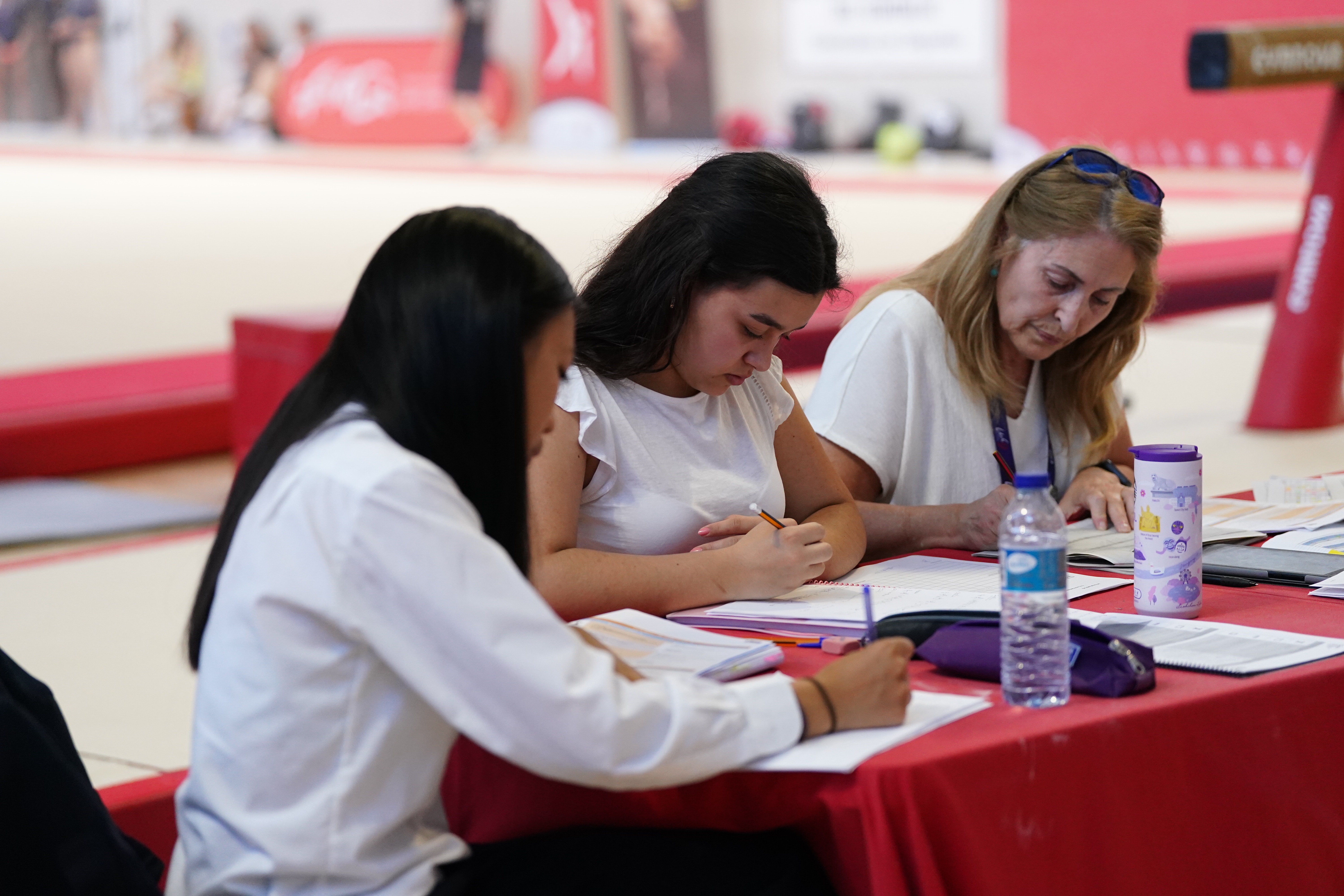 JUEZ NIVEL II Y ACTUALIZACIÓN DE GIMNASIA ARTÍSTICA FEMENINA 